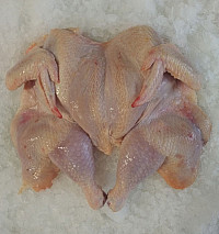 Boneless Flat Cut Chicken, Flip Side